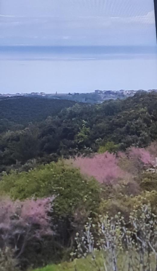 Πανοραμα Villa Aigani Kültér fotó